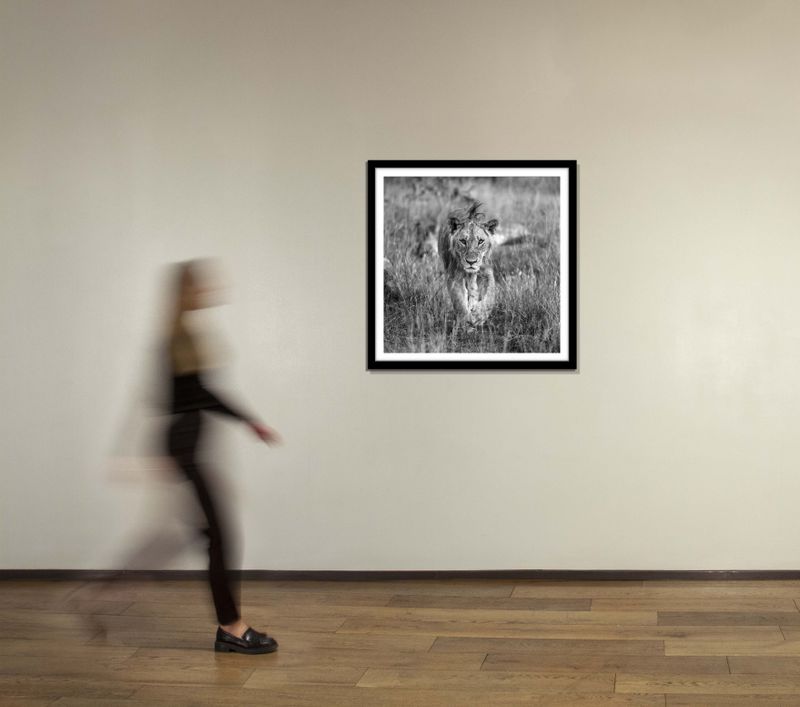 40 x 40 in., edition of 15